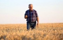 У 2017 році фермерське господарство "ГАДЗ" сплатило 75 мільйонів гривень податків