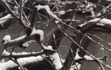 У Ізмаїлі практично відновили електро-, водо- та теплопостачання - ДСНС (відео)