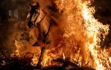 Лучшие фото недели: еще больше снега, благословение домашних любимцев и украинское теннисное дерби (фотоподборка)
