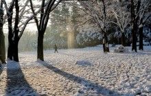 Весна в Украине начнется с морозов и снегопадов (карта)