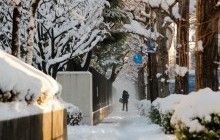 В Японии из-за сильных снегопадов четыре человека погибли, 48 пострадали - СМИ