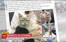 Господарем покинутої в аеропорту кішки став змінний керівник аеропорту (відео)