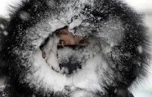 Лучшие фото недели: украинская Соборность, очередные проделки природы и игривые носки Трюдо в Давосе (фотоподборка)