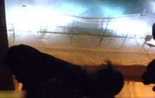 В Днепре патрульные поймали за ногу самоубийцу, пытавшегося броситься с 10 этажа (видео)