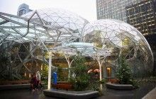 Компания Amazon открыла "тропический" офис за четыре миллиарда (фото, видео)