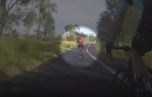 Боевые искусства по-австралийски: кенгуру в прыжке сбил велосипедистку и ускакал прочь (видео)