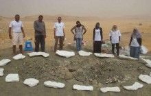 Археологи нашли в Египте остатки травоядного тираннозавра возрастом 80 миллионов лет