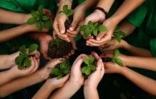 Сегодня иудеи отмечают Новый год деревьев: 15 фактов о Ту би-Шват