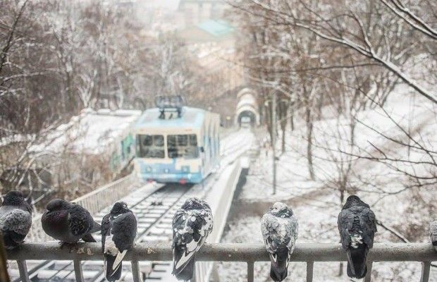 В Киеве в новогоднюю ночь весь общественный транспорт будет работать на 3 часа дольше