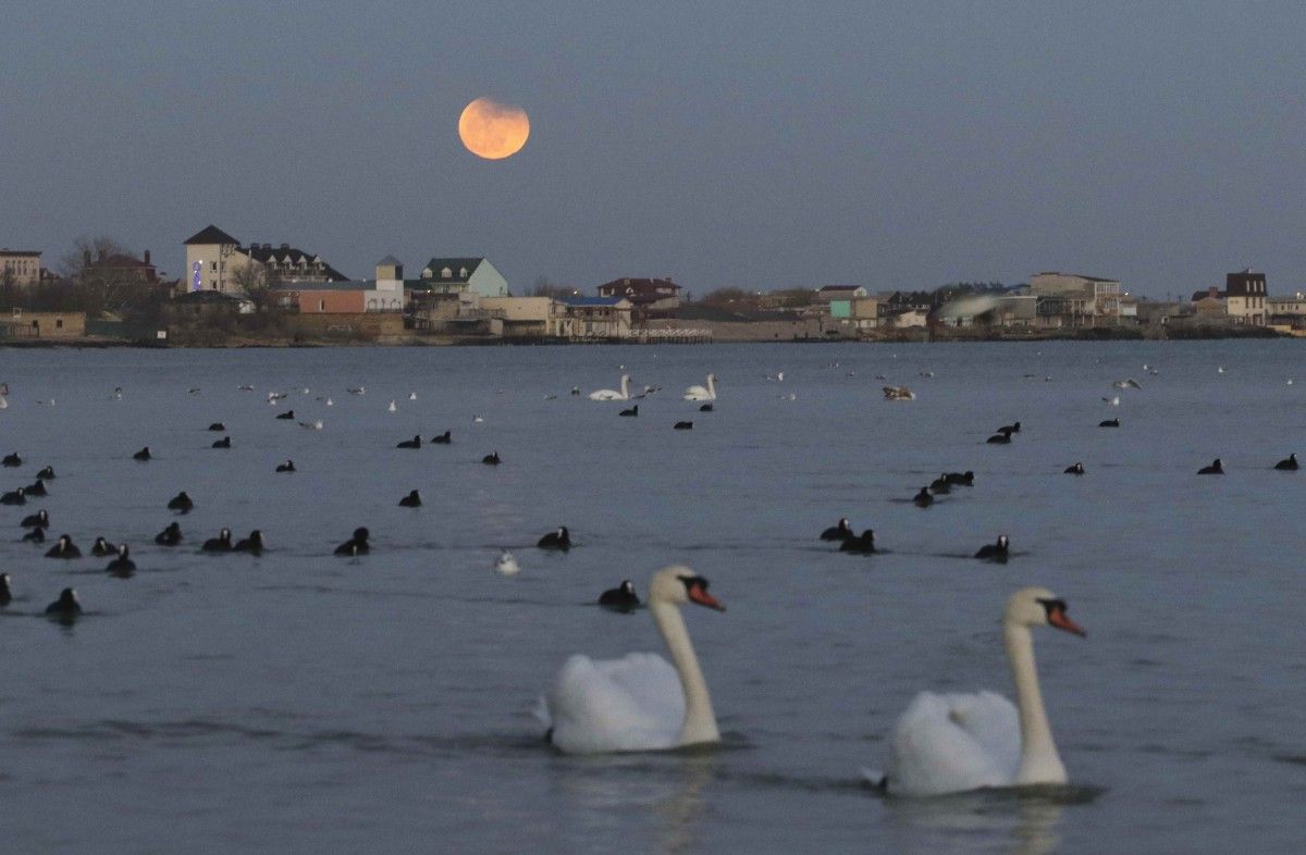 Ілюстрація / REUTERS Ілюстрація / REUTERS
