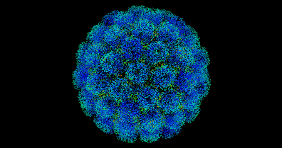  В Китае замечен неизвестный вирус-родственник Эболы / Иллюстративное фото wikipedia.org
