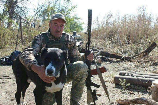 Пес сержанта сидел рядом с ним / Фото из соцсетей Пес сержанта сидел рядом с ним / Фото из соцсетей