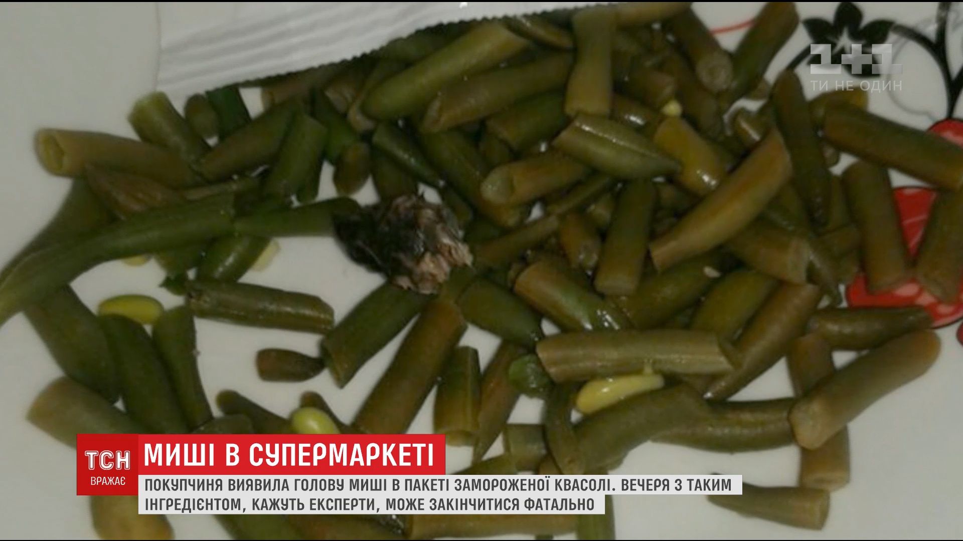Голову миші жінка знайшла в упаковці замороженої квасолі / скріншот Голову миші жінка знайшла в упаковці замороженої квасолі / скріншот