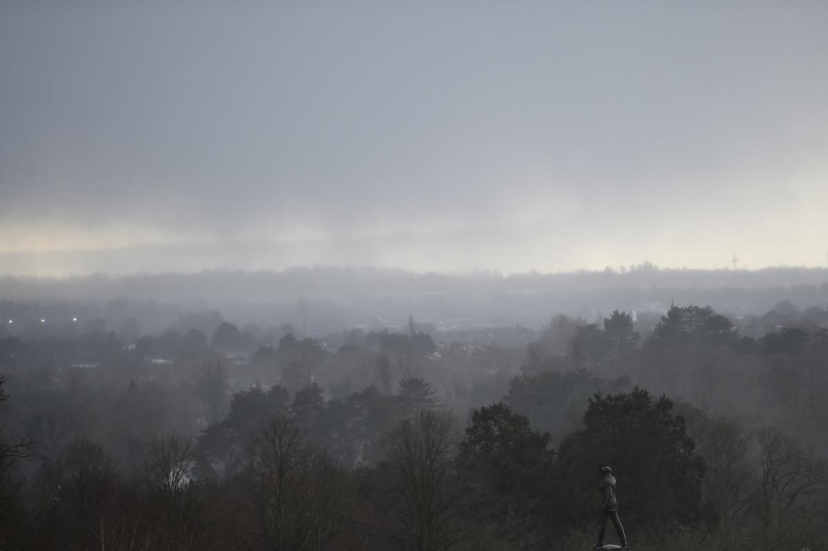 Иллюстрация / REUTERS