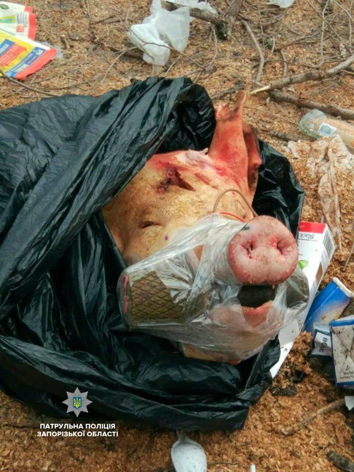 Граната виявилася несправжньою / фото facebook.com/zaporizhiapolice Граната виявилася несправжньою / фото facebook.com/zaporizhiapolice