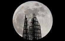 Маск назвал имя первого космического туриста, который полетит на Луну