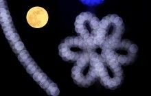 Астрологи назвали четыре знака Зодиака, которым повезет в ноябре