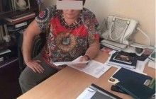 Співробітниць маріупольського музею засудили за передачу 52 картин в анексований Крим