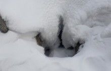 Пятеро россиян два года рыли подкоп для кражи нефти и попались за три метра до цели