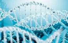 Регенеративная медицина откроет принципиально новые возможности лечения и омоложения