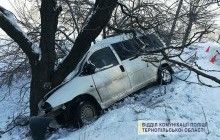 На Тернопільщині нетверезий чоловік під час тест-драйву врізався в дерево (фото)