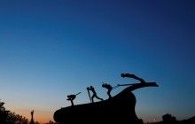 Сборная Норвегии рассказала, зачем команде на Олимпиаде 6 тысяч доз препаратов от астмы