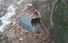 На Донетчине нашли очередные доказательства причастности РФ к войне на Донбассе (фото)