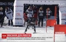 Поруч із зимовою Олімпіадою влаштували лижні змагання серед роботів (відео)