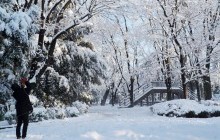 Из-за сильных снегопадов в Японии погибли 15 человек