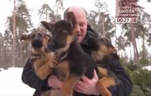 Рік собаки: журналісти з'ясували, про кого політики дбають краще - домашніх улюбленців чи виборців (відео)