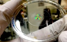 Американские ученые создали "искусственный глаз"