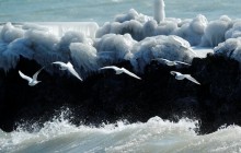 Ледовая сказка: из-за сильных морозов Швейцария покрылась льдом (фоторепортаж)