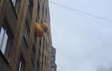В России арестовали на 25 суток активиста, показывавшего надувную утку из окна во время акции протеста