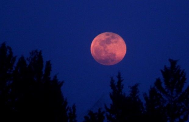 Рожевий Місяць 8 квітня: у чому особливість найбільшого Супермісяця року