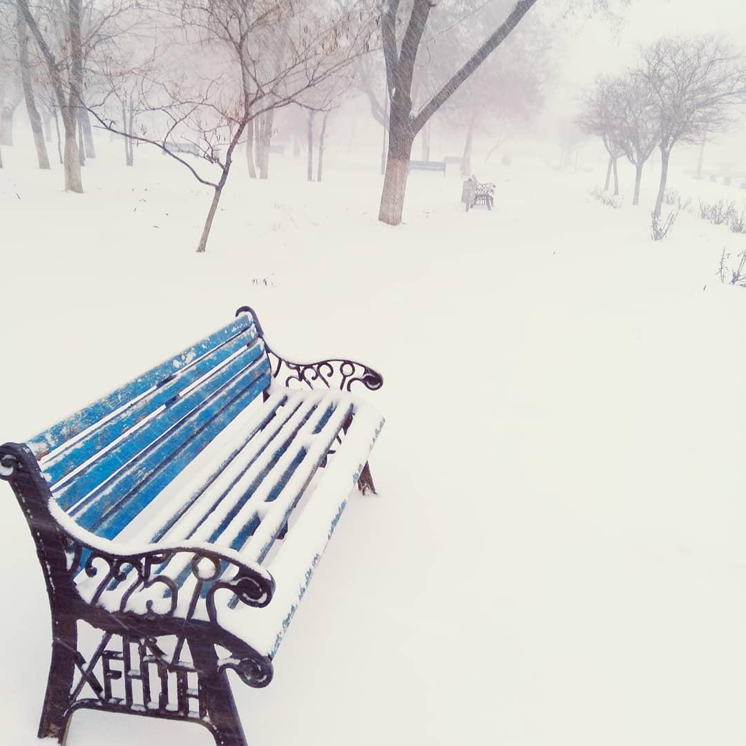 Снег в Херсоне / kherson.net Снег в Херсоне / kherson.net