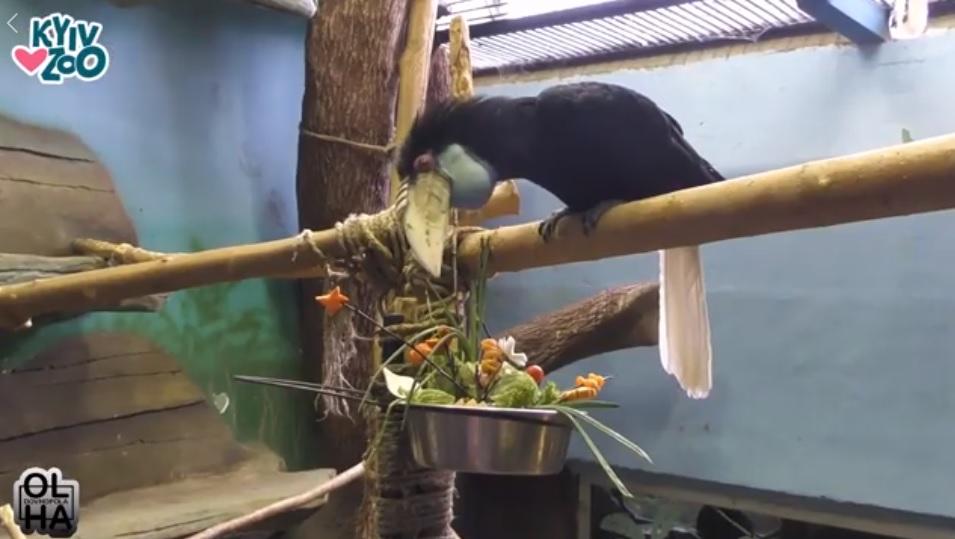 Весняний настрій у Київському зоопарку / Фото facebook.com/zoo.kiev.ua Весняний настрій у Київському зоопарку / Фото facebook.com/zoo.kiev.ua