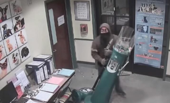 Вор разбил автомат и растерял все жвачки / Скриншот видео ТСН