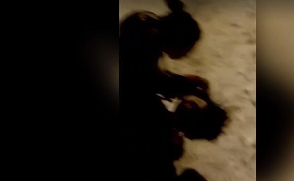 Запись снимала третья девушка / Скриншот Запись снимала третья девушка / Скриншот