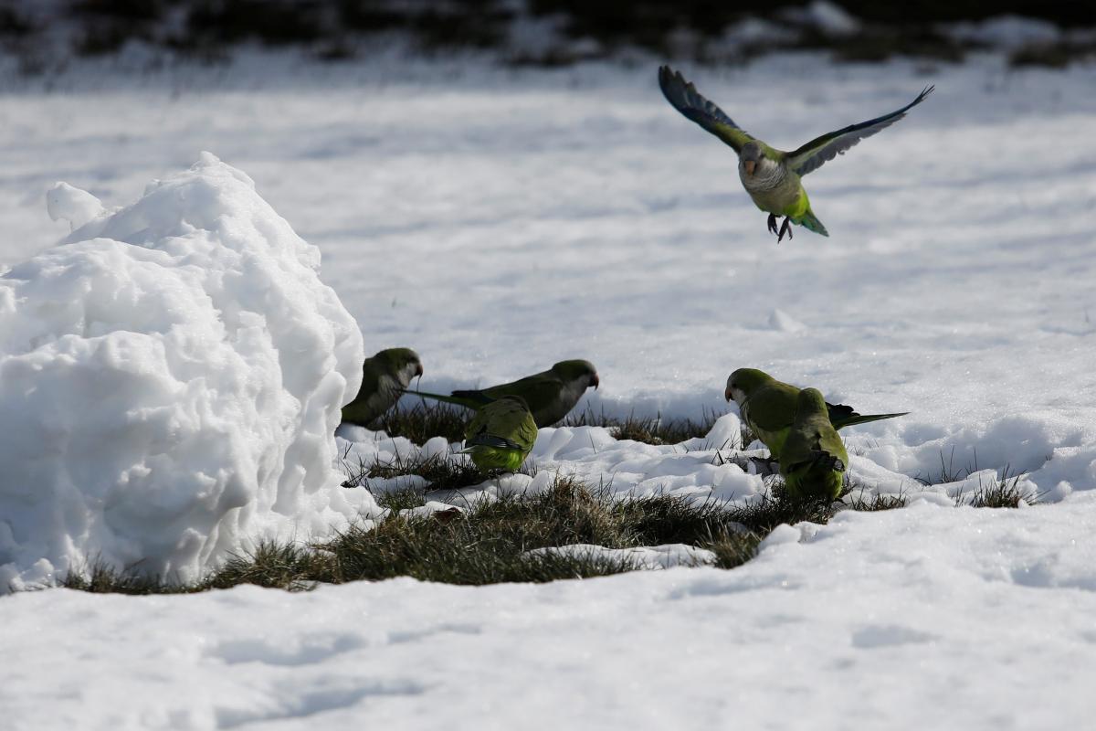 Иллюстрация / REUTERS