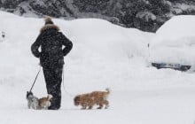 В Україні сьогодні буде холодно, пройдуть снігопади (карта)