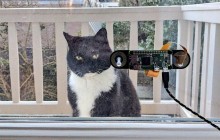 Житель Амстердама изобрел устройство персонального фейс-контроля для кота