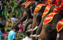 В Таїланді з розмахом відзначили традиційний День слона (фоторепортаж, відео)
