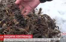 На Сумщині спіймали двох селян-браконьєрів, які виловили півтисячі раків (відео)