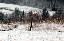 На Буковине в снегу нашли мертвым экс-депутата