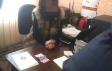 На Житомирщині затримали керівника сектору міграційної служби, яка "торгувала" біометричними паспортами (фото)