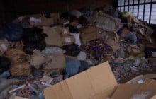 У Запоріжжі виявили тонни людських останків та медичного сміття (відео)