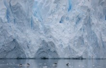 Из-за таяния ледяного щита в Антарктике уровень моря поднимется  на несколько этажей
