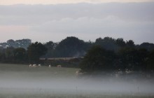 Кількість птахів у Франції за 15 років зменшилася на третину через пестициди - дослідження