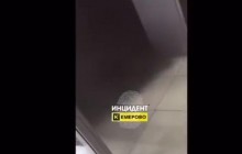 "Мамо, матусю": з'явилися моторошні кадри паніки в охопленому вогнем російському ТЦ (відео)
