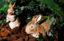 В Бельгии прошел фестиваль невероятных шоколадных скульптур к Пасхе (фоторепортаж)